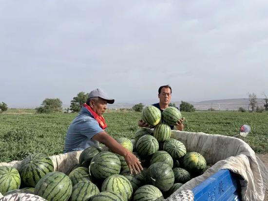 北宅吃瓜,揭秘网络热点的背后故事