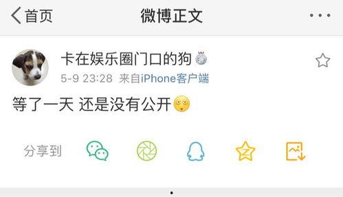 吃瓜等爆料完整,娱乐圈惊天大事件幕后真相大曝光