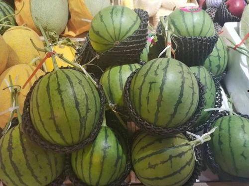 吃瓜健身2,揭秘健身达人的健康饮食与运动秘诀