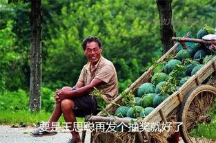 雨村笔记吃瓜,揭秘古代宫廷的“吃瓜”文化