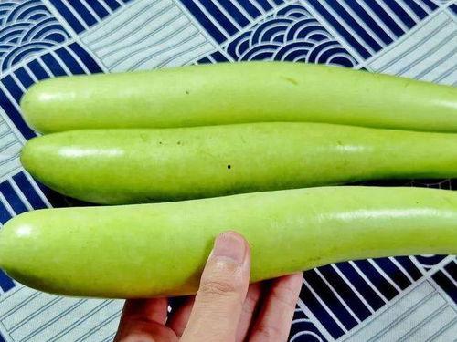 9月吃一瓜,9月尝鲜，解锁秋季第一瓜